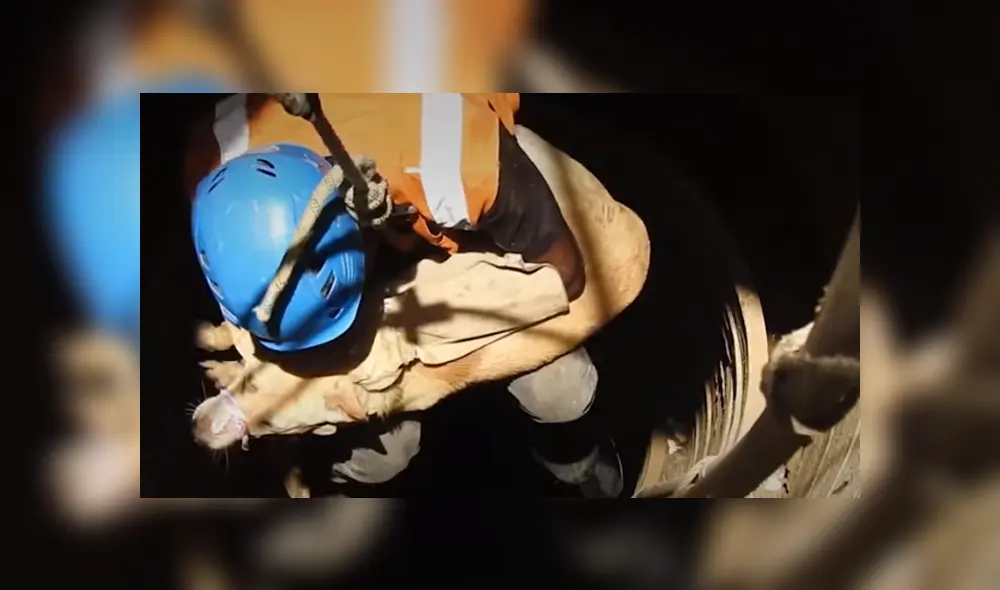 Desliza hacia la izquierda para ver las imágenes del vira del YouTube. Desliza hacia la izquierda para ver las imágenes del vira del YouTube.