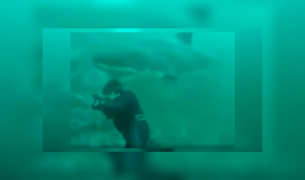 Un buzo pasó el susto de su vida tras lograr salvarse del feroz ataque de un enorme tiburón cuando realizaba una expedición en Sudáfrica.