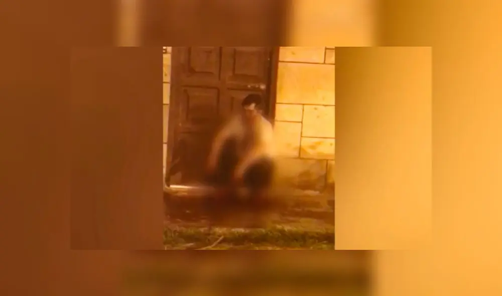 Piden cárcel para inquilino que golpeó brutalmente a hombre que le alquilaba predio. Créditos: Captura Latina.