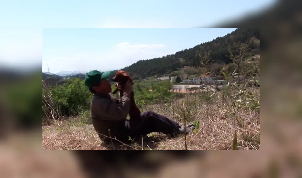 YouTube viral: perro llora de emoción al reencontrarse con vaca que lo cuidó desde bebé 