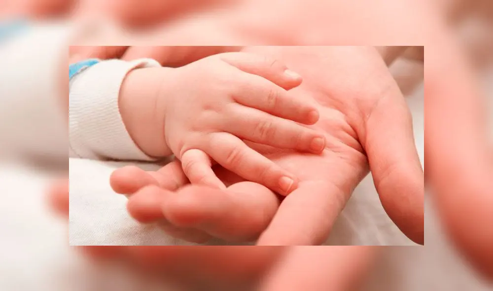 El incidente ocurrió el 23 de junio en una aldea en el extremo noroeste de Moscú. Foto: difusión. El incidente ocurrió el 23 de junio en una aldea en el extremo noroeste de Moscú. Foto: difusión.