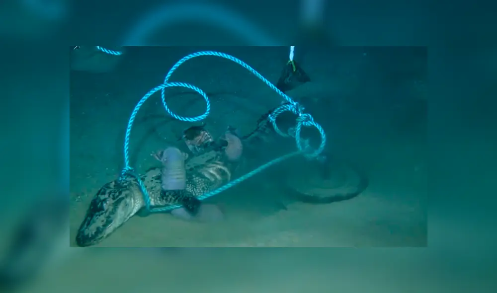 Desliza hacia la izquierda para ver a las criaturas que aterraron a miles en YouTube.