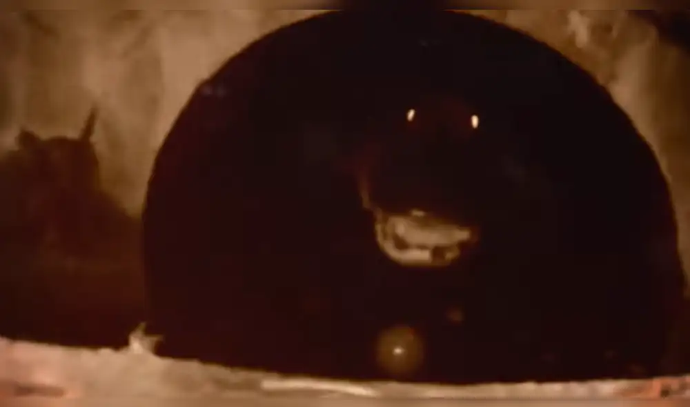 YouTube Viral: Terrorífica criatura captada en EEUU desata temor en ciudadanos