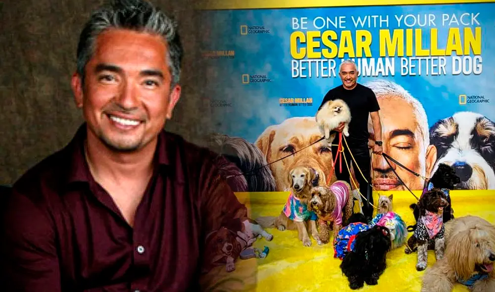 Cesar Millán Foto: composición de Gerson Cardoso/El Confidencial/La prensa