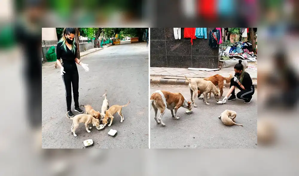 Desliza hacia la izquierda para ver las fotos virales de Facebook. Desliza hacia la izquierda para ver las fotos virales de Facebook.