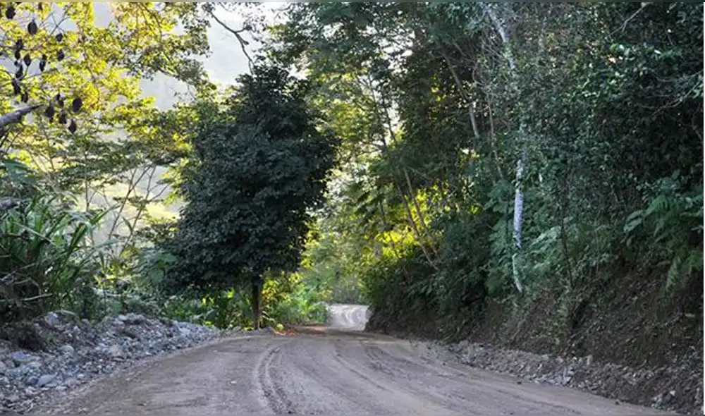 Devida transfiere casi S/ 3 millones para caminos vecinales y forestación