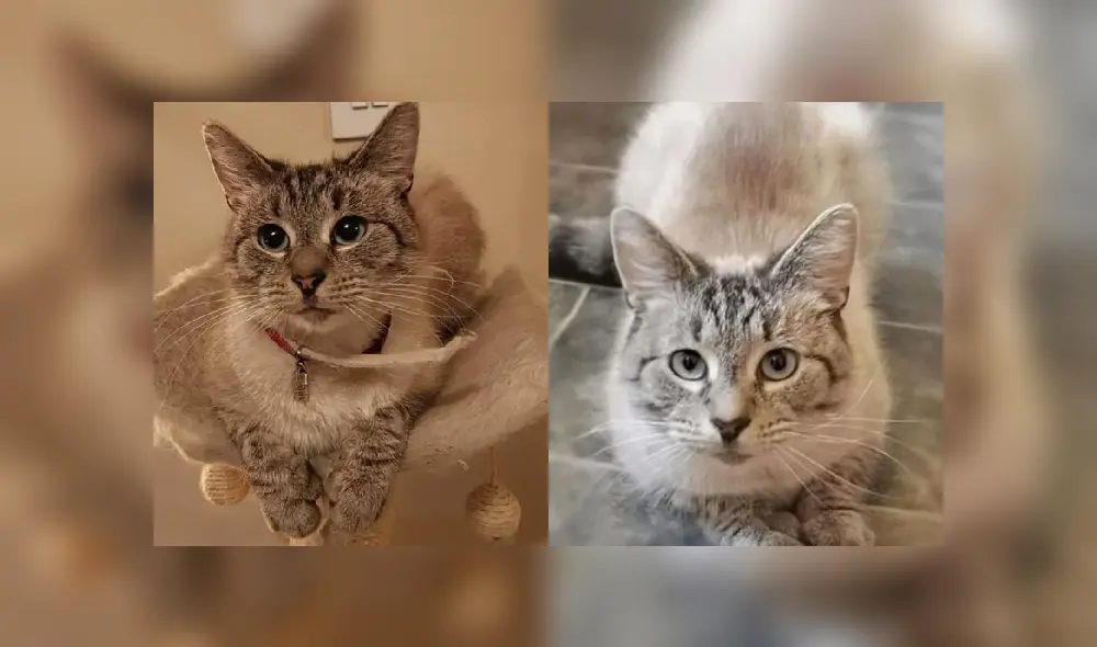 Desliza las imágenes para ver más sobre esta dramática escena que es viral en Facebook.