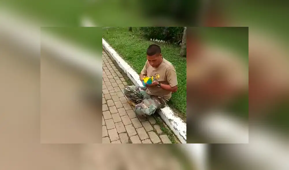 Desliza las imágenes para apreciar el emotivo comportamiento de un guacamayo al recibir unos mimos de su cuidador.