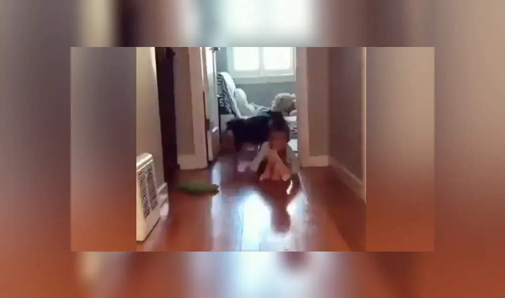 Desliza para ver los momentos más tiernos del video que se hizo viral en Facebook. Desliza para ver los momentos más tiernos del video que se hizo viral en Facebook.