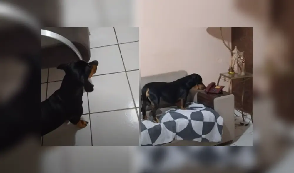 Desliza hacia la izquierda para ver más del video viral. Fotocaptura: YouTube