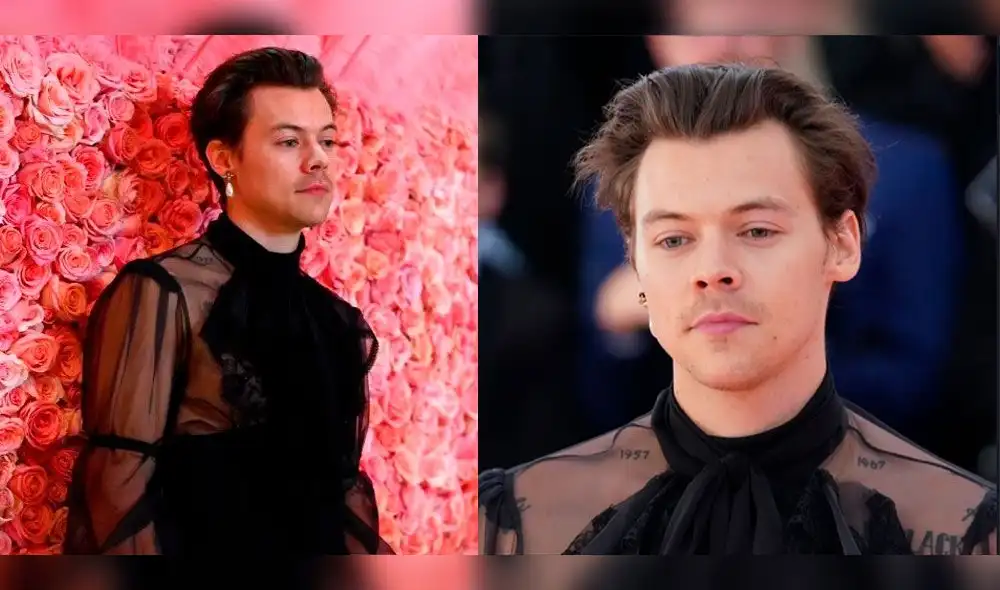 Met Gala 2019: Harry Styles mostró su faceta andrógino en la “pink carpet”