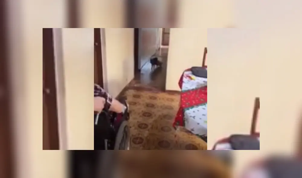 Video es viral en YouTube. Uno de los dueños del can grabó la singular conducta que tuvo este cuando vio llegar a la abuela de la casa. Fotocapatura: 20 minutos Video es viral en YouTube. Uno de los dueños del can grabó la singular conducta que tuvo este cuando vio llegar a la abuela de la casa. Fotocapatura: 20 minutos