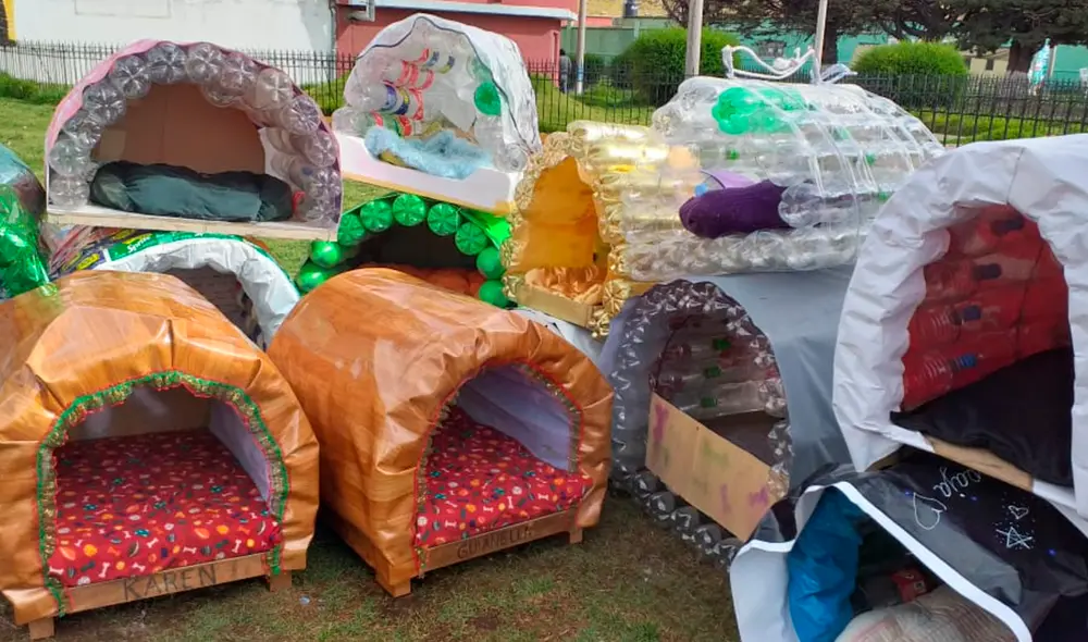 Cada niño se encargó de decorar su propia casita con colores característicos. Foto: Unidogs