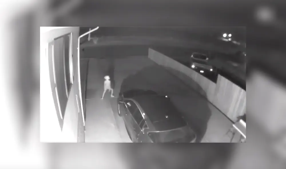 Facebook viral: Terrorífica criatura genera pánico tras ser captada por cámara de seguridad [VIDEO]