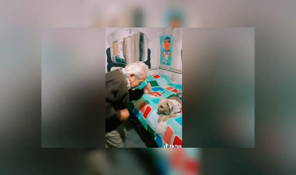 Desliza las imágenes para ver la divertida coreografía que hizo un anciano junto a su querida mascota. Foto: elabuemax/TikTok Desliza las imágenes para ver la divertida coreografía que hizo un anciano junto a su querida mascota. Foto: elabuemax/TikTok