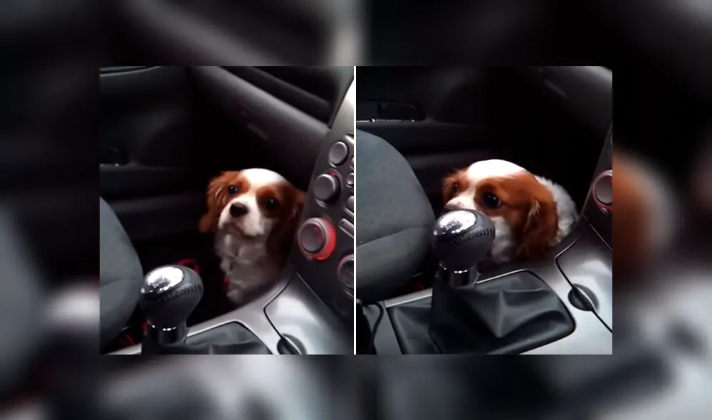 Desliza para ver los momentos más divertidos del video que se hizo viral en YouTube.