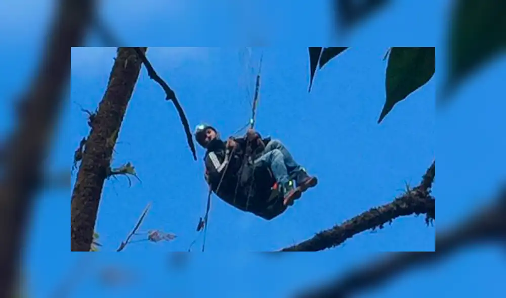 Colombia: parapentista se salvó de caer a precipicio al quedar atrapado en árbol [VIDEO]