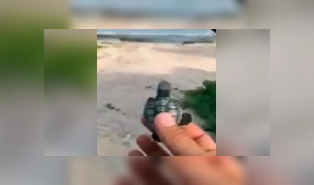 Desliza para ver los momentos más impactantes del triste video compartido en Facebook.