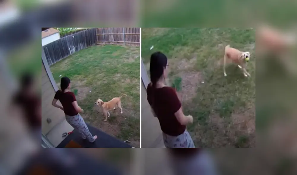 Desliza hacia la izquierda para ver las imágenes del viral de YouTube.