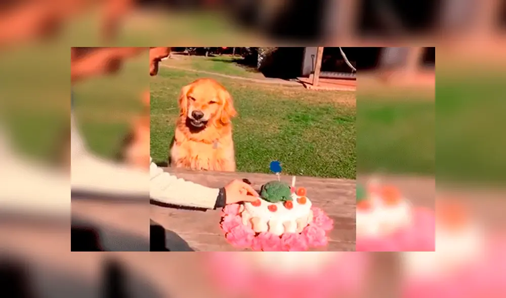 Desliza para ver detalles de este video viral publicado en Facebook. Foto: Captura.