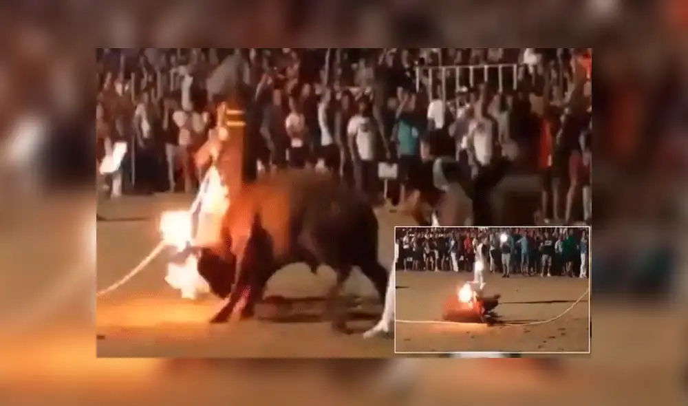 Incendian los cuernos de toro en pleno festival de Cataluña [VIDEO]