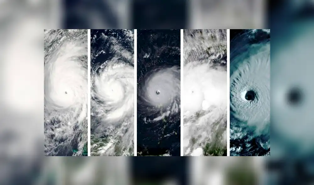 Huracán Dorian: comparan el ojo del ciclón categoría 5 con sus similares Irma, María, Matthew, Michael Huracán Dorian: comparan el ojo del ciclón categoría 5 con sus similares Irma, María, Matthew, Michael