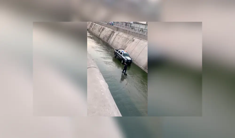 Desliza las imágenes hacia la izquierda para conocer la valerosa acción de un policía para salvar a un perro. Desliza las imágenes hacia la izquierda para conocer la valerosa acción de un policía para salvar a un perro.