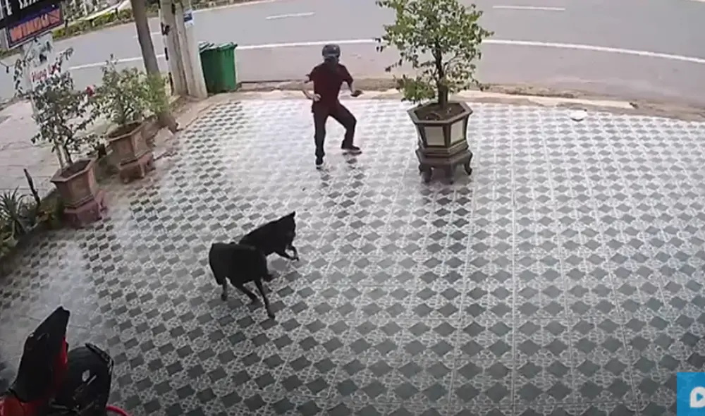 Desliza hacia la izquierda para ver las imágenes del video viral. Foto: Captura de YouTube. Desliza hacia la izquierda para ver las imágenes del video viral. Foto: Captura de YouTube.