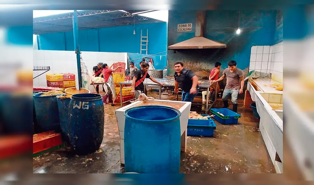 Operativo. Aves eran procesadas en malas condiciones.