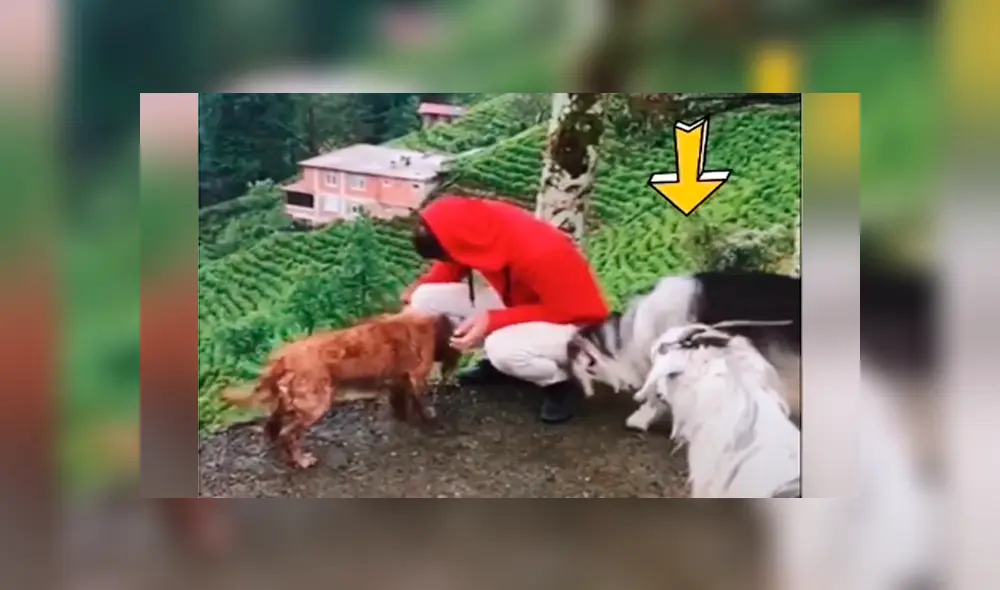 Desliza para ver todas las imágenes de Facebook.