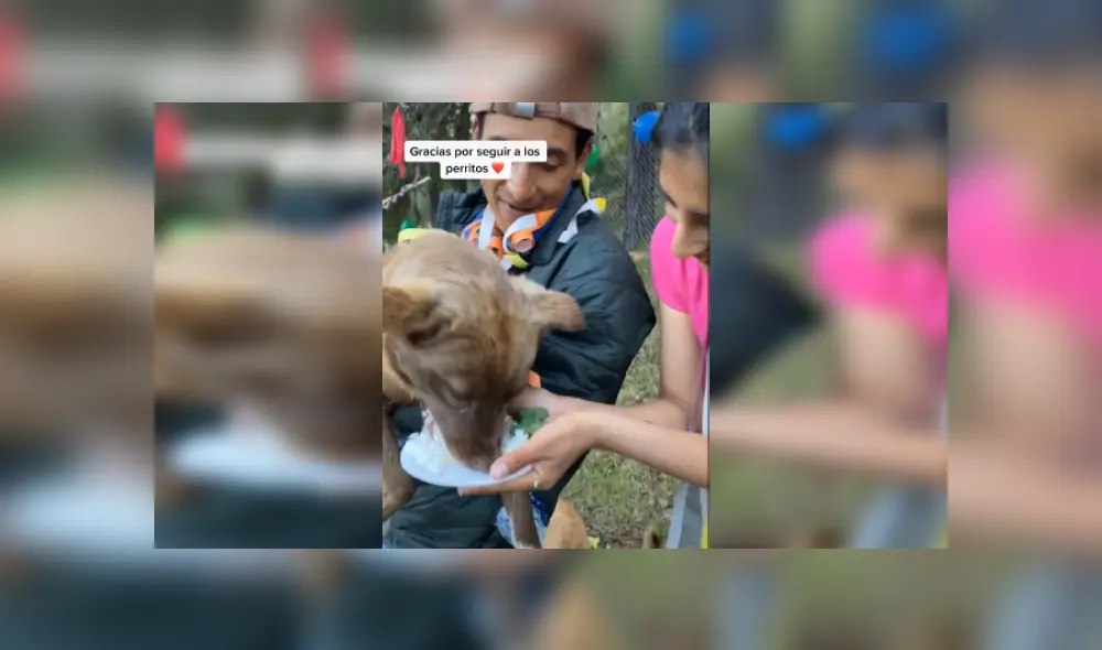 Desliza hacia la izquierda para ver más imágenes de esta divertida bienvenida. (Foto: captura / TikTok)