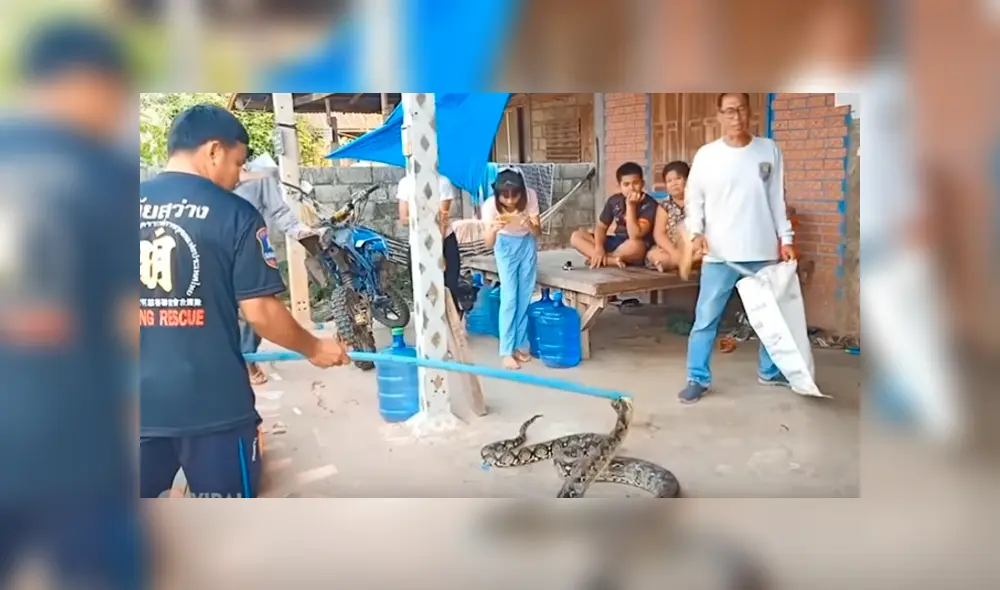 Desliza hacia la izquierda para ver el espeluznante hallazgo en Tailandia. Imágenes virales de YouTube. Desliza hacia la izquierda para ver el espeluznante hallazgo en Tailandia. Imágenes virales de YouTube.