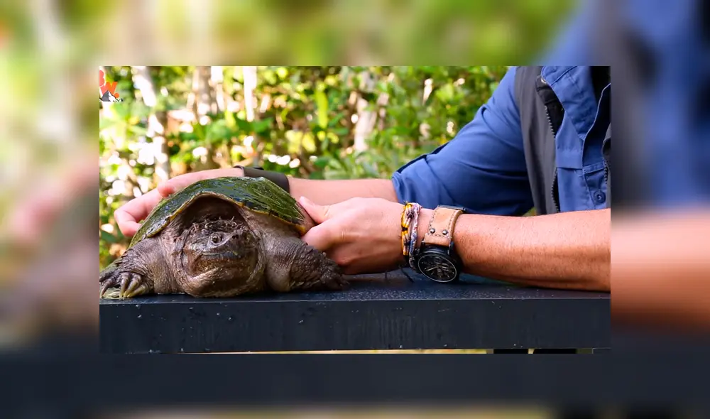 Desliza para ver los momentos más impactantes del video que se hizo viral de YouTube.