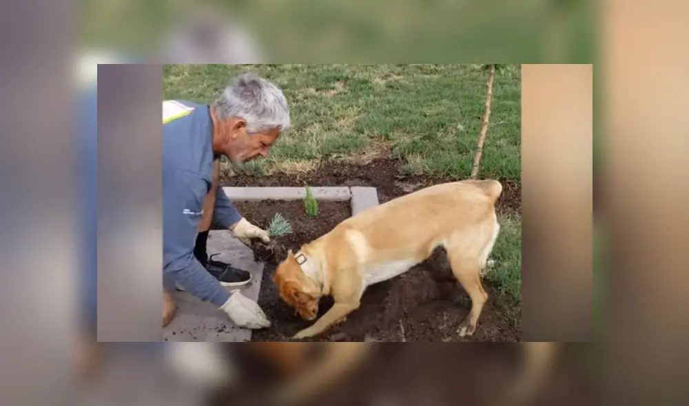 Desliza hacia la izquierda para ver más del video viral. Desliza hacia la izquierda para ver más del video viral.