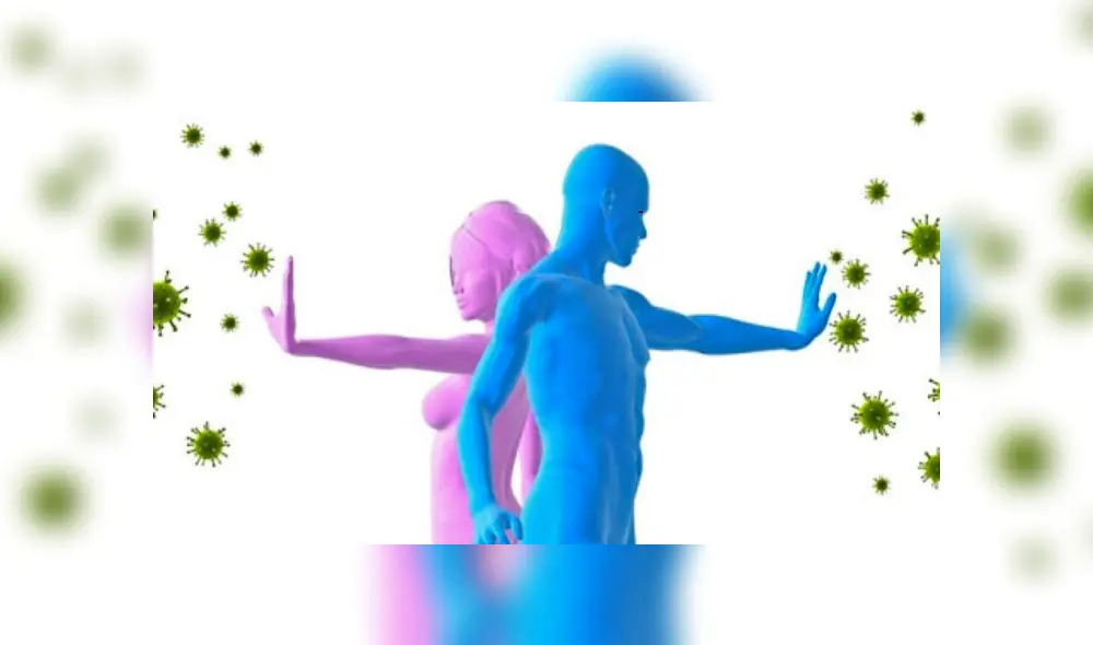 sistema inmunológico