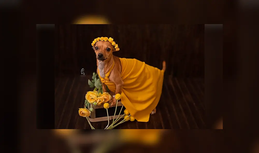 Desliza para ver la sesión fotográfica que se volvió viral en Facebook. Foto: Captura.