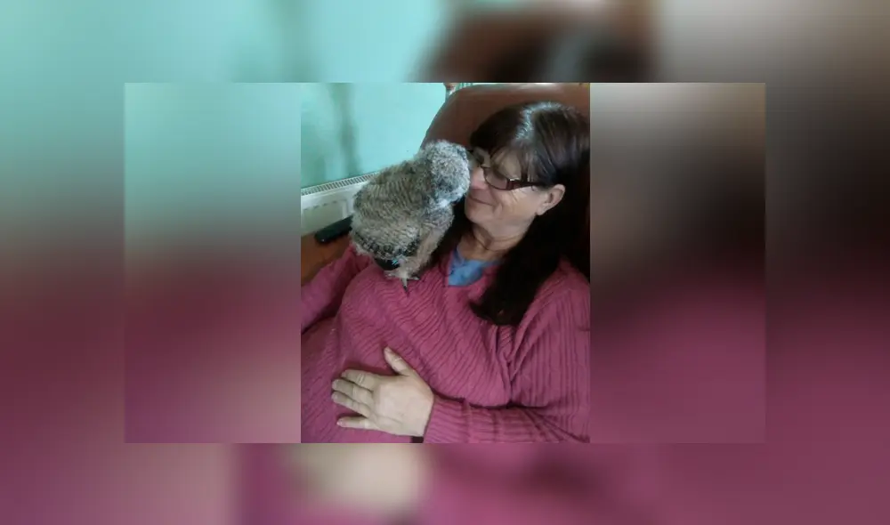 Perro salva a mujer de un mortal coma diabético tras fuerte olor en su aliento mientras dormía[FOTOS] 