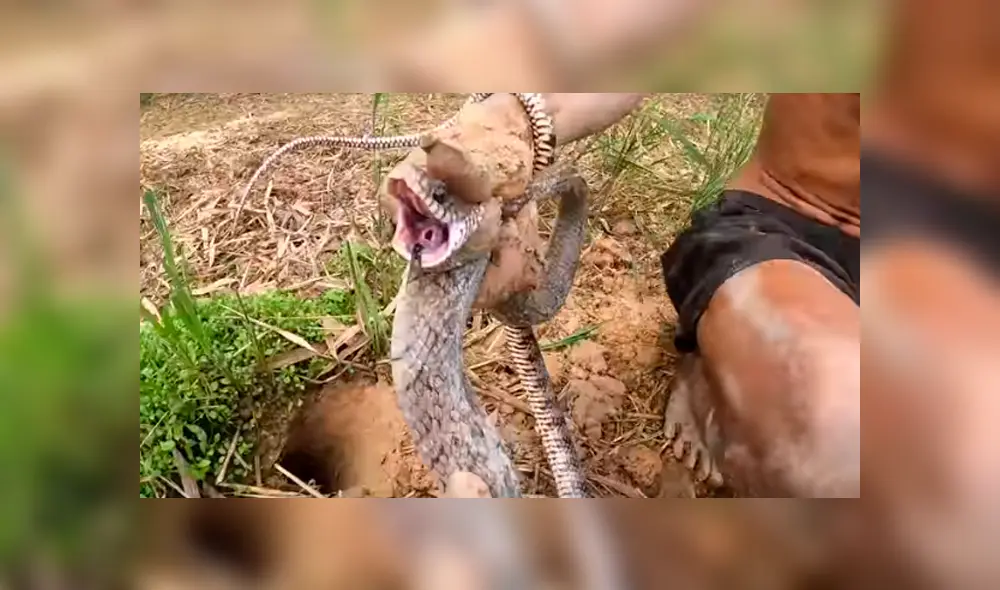 Desliza hacia la izquierda para ver el hallazgo que hizo un joven dentro de un hueco. Video es viral en YouTube. Desliza hacia la izquierda para ver el hallazgo que hizo un joven dentro de un hueco. Video es viral en YouTube.