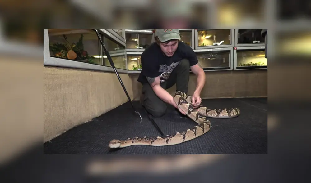 Desliza hacia la izquierda para ver las imágenes del viral de YouTube. Desliza hacia la izquierda para ver las imágenes del viral de YouTube.