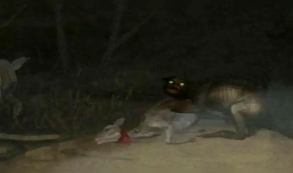 Viral en YouTube: afirman haber visto al 'chupacabras' en Argentina [VIDEO]