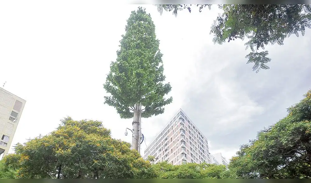 En 2019, empresas deberán instalar solo antenas ‘tipo árbol’ en parques