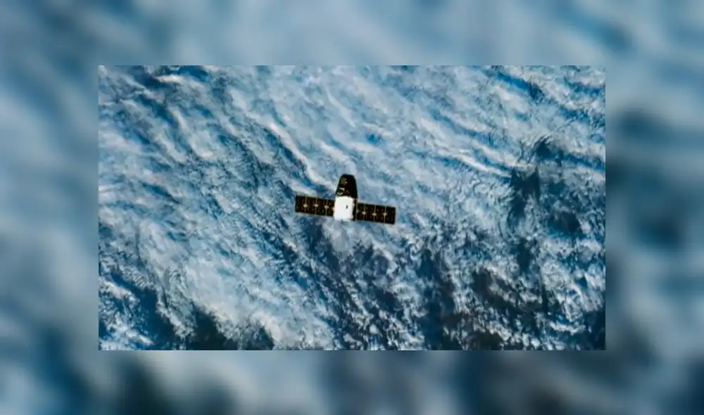 YouTube viral: cámara satelital graba misteriosas criaturas en el lugar menos imaginado [VIDEO]