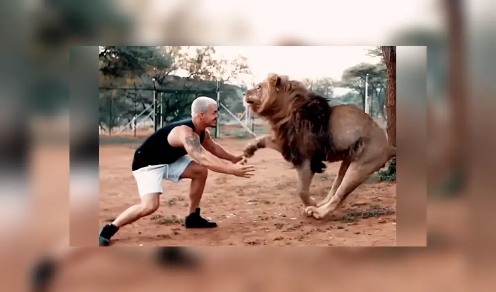 Desliza hacia la izquierda para ver el reencuentro del hombre con un enorme león que se volvió viral en YouTube.
