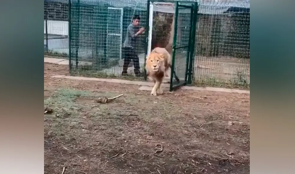 Desliza hacia la izquierda para ver las imágenes del video viral. Foto: captura de YouTube.