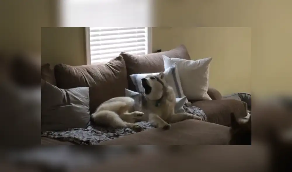 Desliza hacia la izquierda para ver más del video viral Desliza hacia la izquierda para ver más del video viral