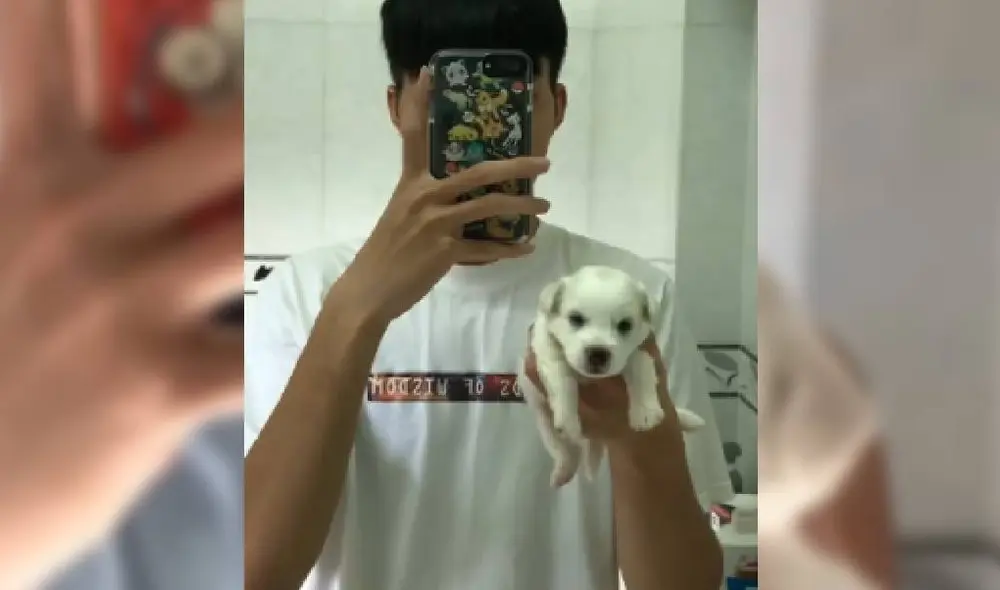El video de Facebook muestra el crecimiento de la mascota durante dos meses. Foto: Captura/Facebook/Tấn Phát