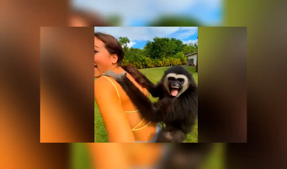 La emotiva reacción del mono ha conmovido a varios usuarios de TikTok. Foto: captura