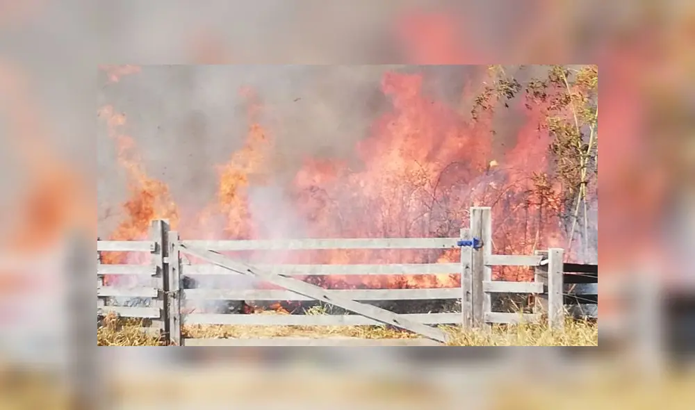 COER atendió este sábado seis incendios forestales en Iñapari, Iberia, Tampopata, Laberinto e Inambari. (Foto: Alcaldía de Iñapari)
