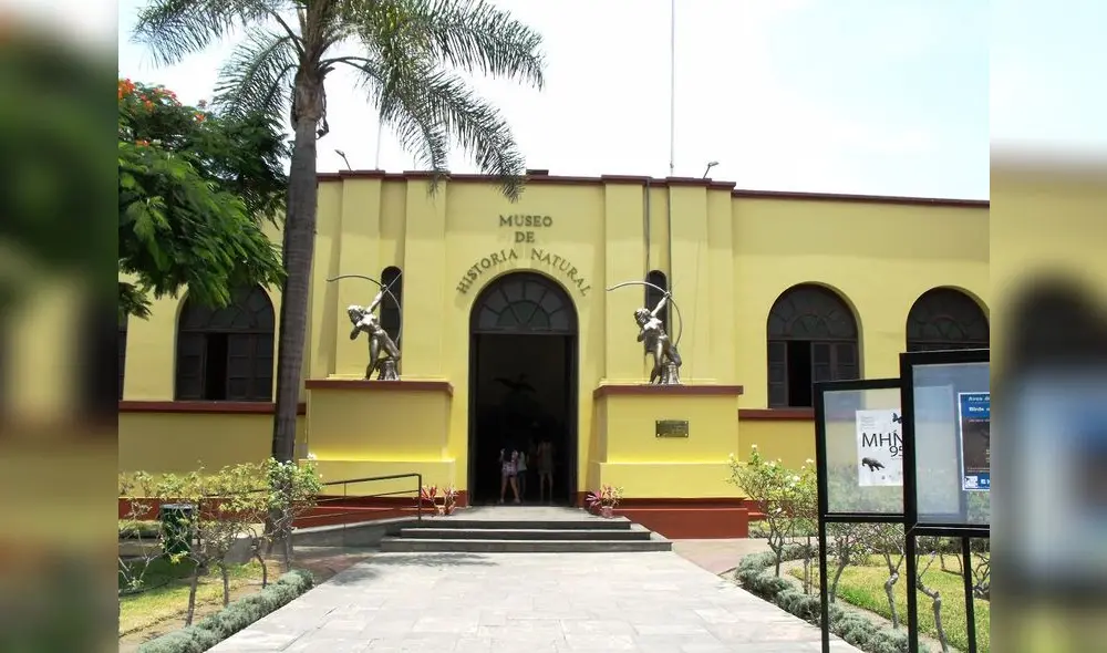 Museo de Historia Natural de San Marcos. Museo de Historia Natural de San Marcos.
