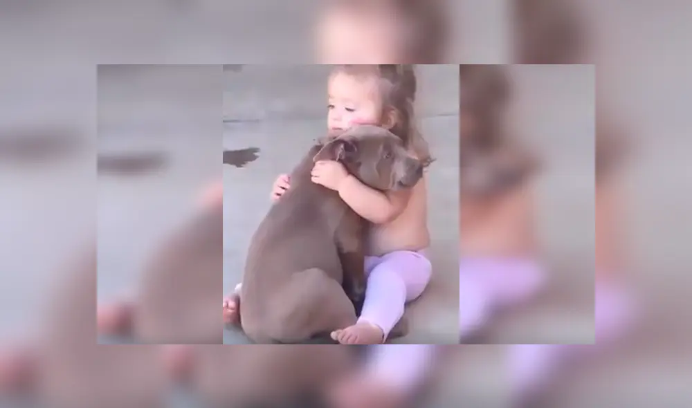 Desliza las imágenes hacia la izquierda para apreciar la sentimental escena entre una niña junto a su perro.